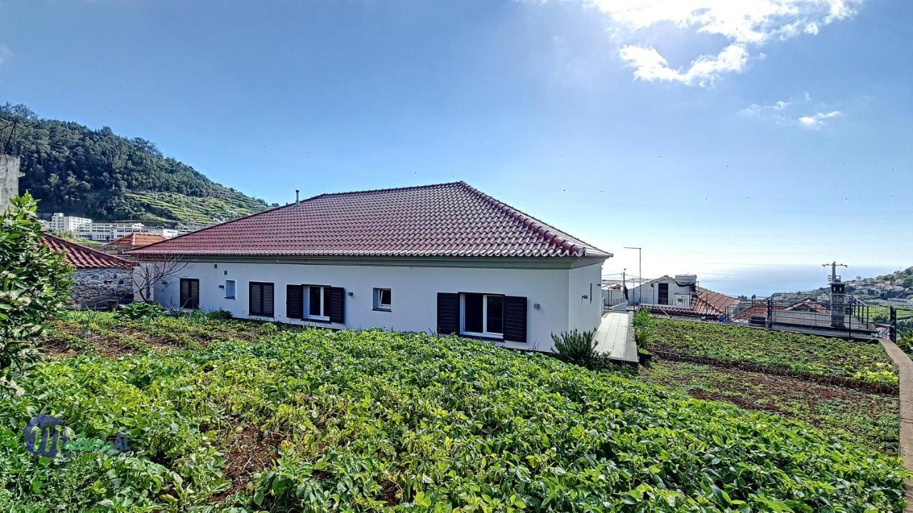 Yohanna'S Accommodation Campanario Екстер'єр фото
